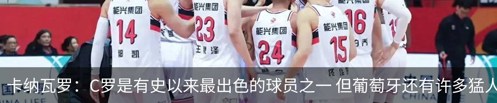 资讯动态