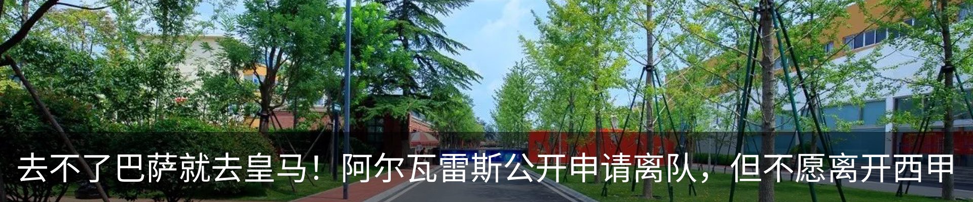 资讯动态