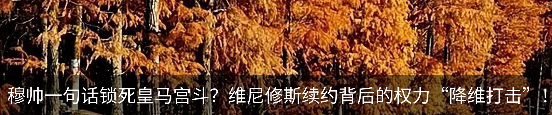 资讯动态