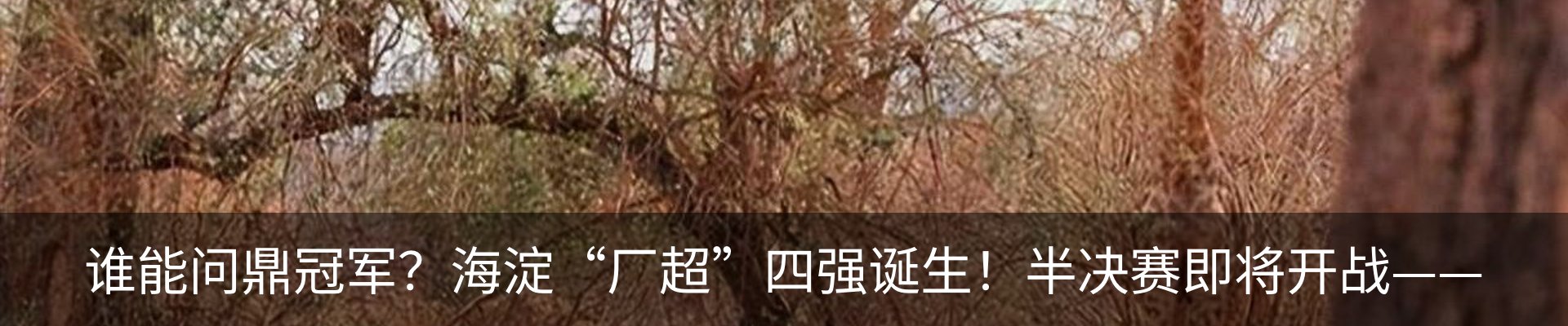资讯动态