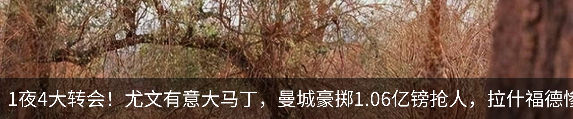 资讯动态