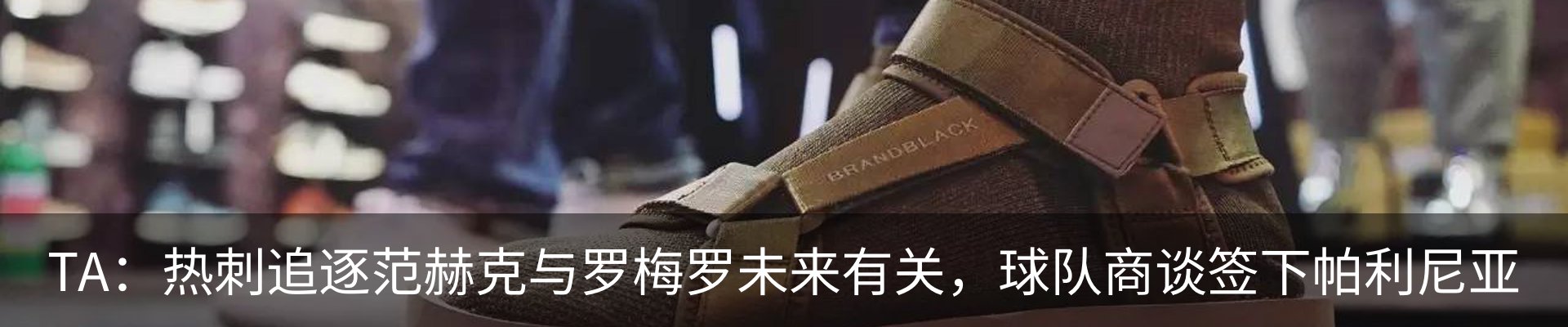 资讯动态