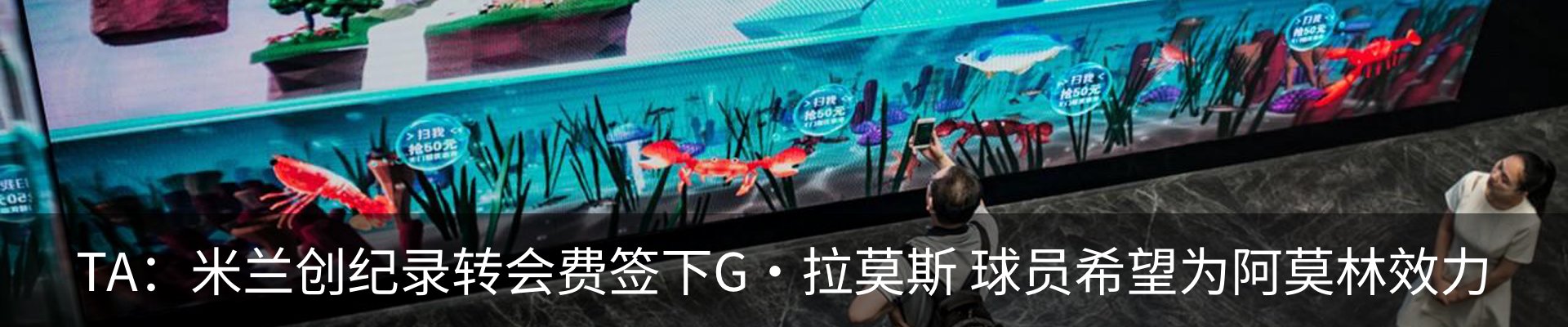 资讯动态